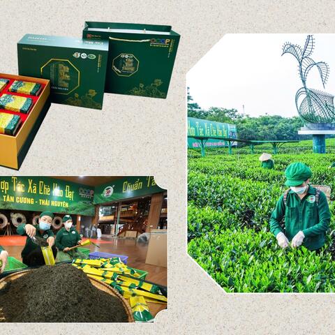 Thái Nguyên ‘nâng tầm’ sản phẩm công nghiệp nông thôn