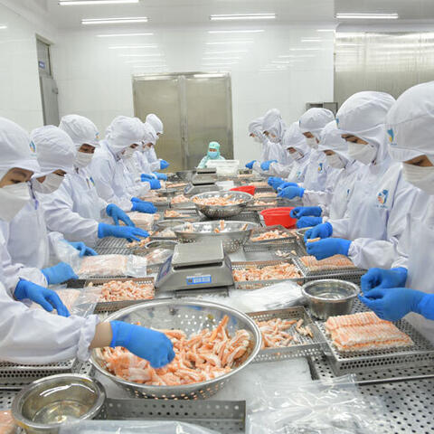 Dự báo xuất khẩu thủy sản quý II: Động lực từ thị trường Trung Quốc