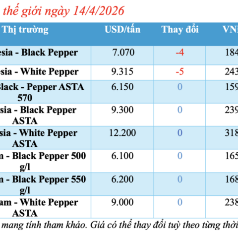 Giá tiêu hôm nay 14/4/2026: Tăng nhẹ, lên mốc 140.000 đồng/kg