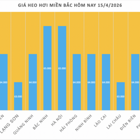 Giá heo hơi hôm nay 15/4/2026: Tăng rải rác trên cả 3 miền
