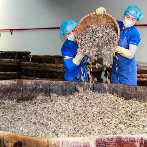 Xây dựng chuỗi thực phẩm sạch, nâng tầm nông sản Việt