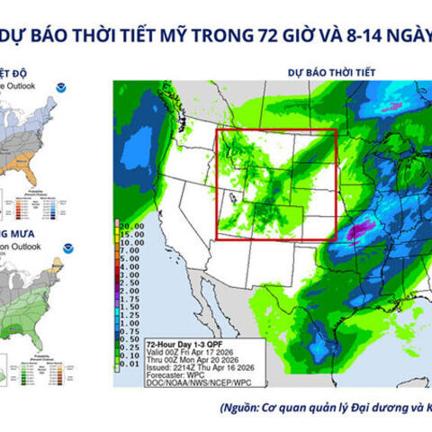 Giá lúa mì tăng mạnh do lo ngại thời tiết, nguồn cung thắt chặt