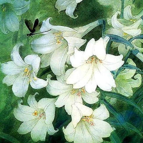 'Ám ảnh tháng tư' gửi vào cõi nhớ ngày Thanh minh