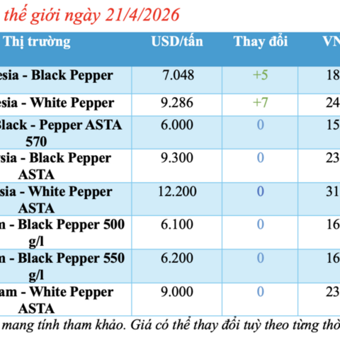 Giá tiêu hôm nay 21/4/2026: Đứng yên chờ tín hiệu mới