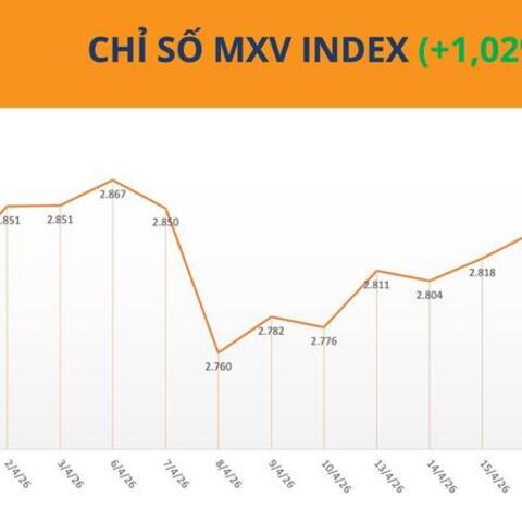 Giá cao su đồng loạt tăng, rủi ro nguồn cung vẫn đè nặng thị trường