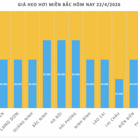 Giá heo hơi hôm nay 22/4/2026: Dao động từ 63.000 - 69.000 đồng/kg