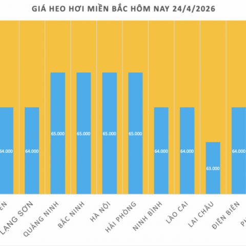 Giá heo hơi hôm nay 24/4/2026: Tăng vài nơi