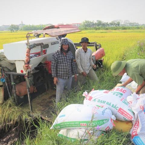 Xuất khẩu giảm tốc, ngành lúa gạo đứng trước yêu cầu đổi hướng