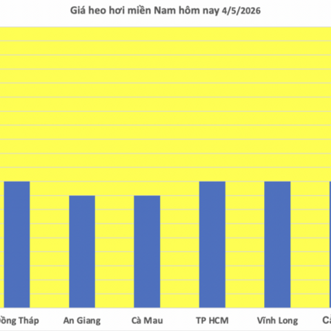 Giá heo hơi hôm nay 4/5/2026: Chạm mốc 70.000 đồng/kg