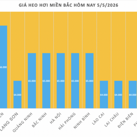 Giá heo hơi hôm nay 5/5/2026: Biến động trái chiều