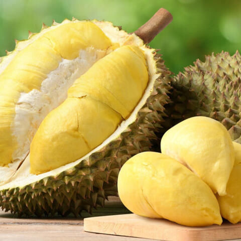 Hàng loạt quy định SPS mới: Áp lực cập nhật với doanh nghiệp xuất khẩu