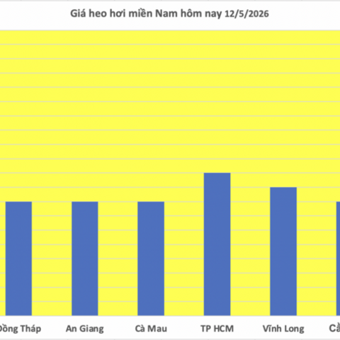 Giá heo hơi hôm nay 12/5/2026: Biến động trái chiều
