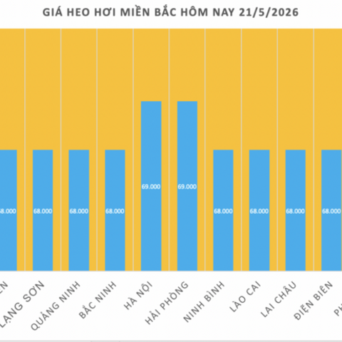 Giá heo hơi hôm nay 21/5/2026: Tăng đồng loạt trên cả nước