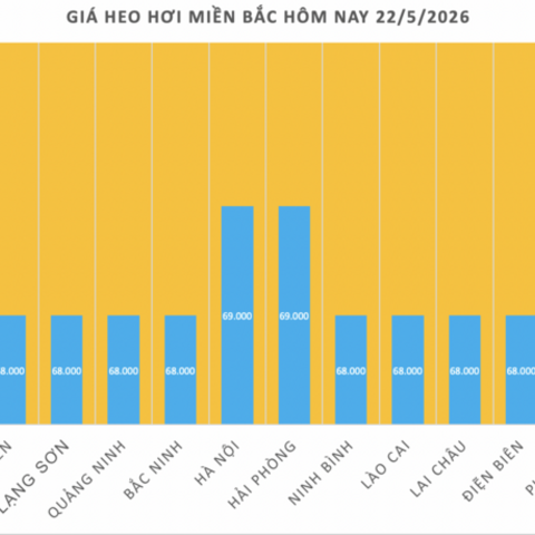 Giá heo hơi hôm nay 22/5/2026: Tăng duy nhất tại 1 địa phương