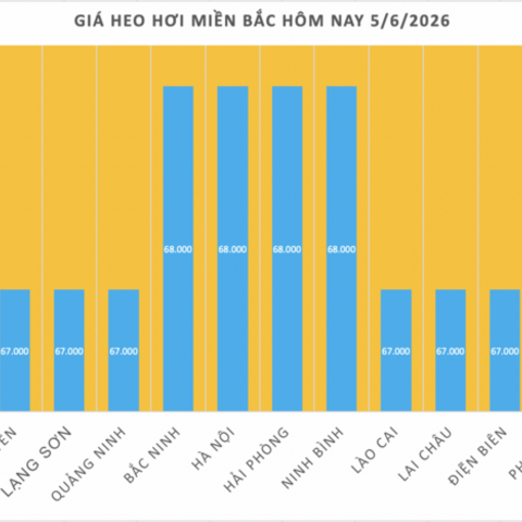 Giá heo hơi hôm nay 5/6/2026: Giảm đồng loạt tại miền Trung, miền Nam