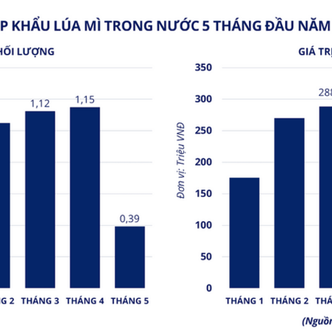 Lo ngại nguồn cung toàn cầu, giá lúa mì bật tăng mạnh