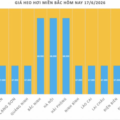 Giá heo hơi hôm nay 17/6/2026: Thị trường tạm chững