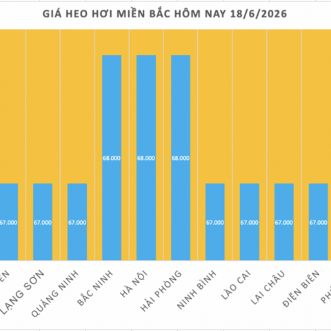 Giá heo hơi hôm nay 18/6/2026: Giảm cục bộ tại miền Trung và miền Nam