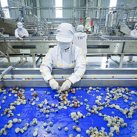 Sơn La: Phát huy 'lợi thế kép' từ năng lượng tái tạo và chế biến nông sản
