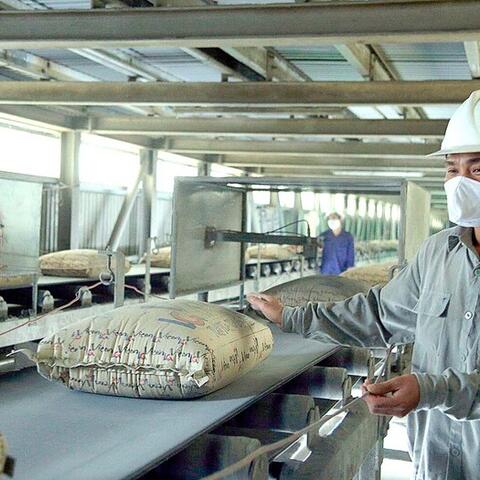 Ngành xi măng kiến nghị 'mềm hóa' phân bổ hạn ngạch khí nhà kính