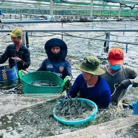 Công nghiệp, thương mại Cà Mau khởi sắc trong nửa đầu năm 2026