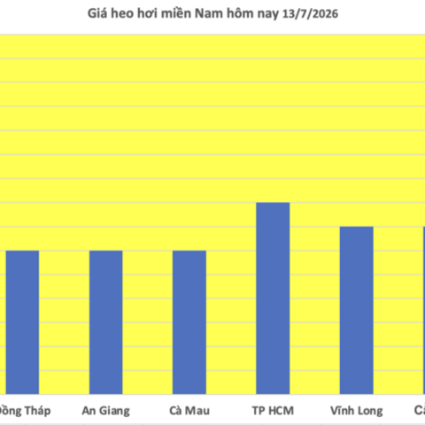 Giá heo hơi hôm nay 13/7/2026: Miền Bắc và miền Trung tăng nhẹ