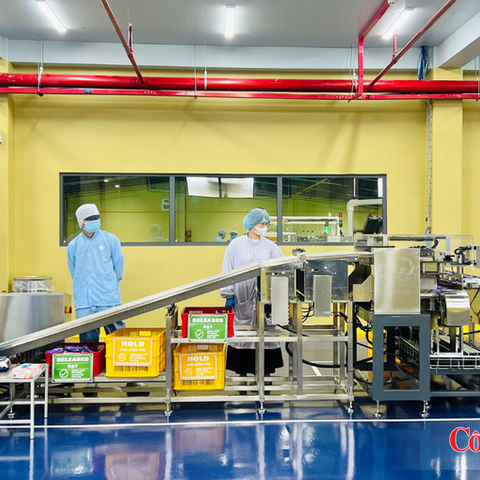 Gia Lai: Xuất khẩu vượt 2,35 tỷ USD, công nghiệp, thương mại đều tăng