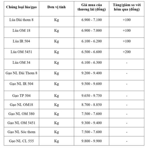 Giá lúa gạo hôm nay ngày 5/8/2026: Lúa tươi đồng loạt tăng nhẹ