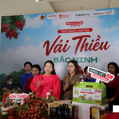 Từ OCOP 5 sao đến thương hiệu quốc gia: Hành trình của vải Hồng Xuân