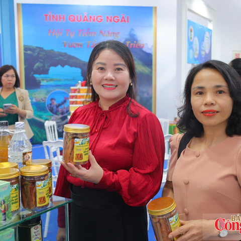 Quảng Ngãi thúc đẩy liên kết vùng, nâng giá trị sản phẩm OCOP