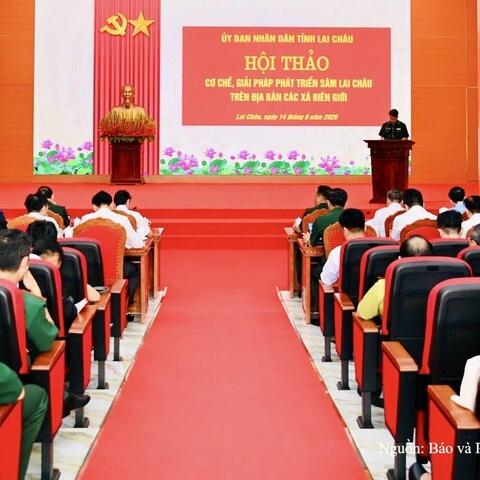 Lai Châu đặt mục tiêu phát triển 1.350 ha Sâm tại các xã biên giới