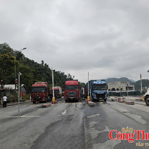 Cập nhật tin xuất nhập khẩu qua các cửa khẩu Lạng Sơn ngày 16/8/2026