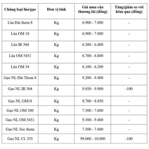 Giá lúa gạo hôm nay ngày 17/8: Gạo nguyên liệu xuất khẩu đảo chiều giảm nhẹ