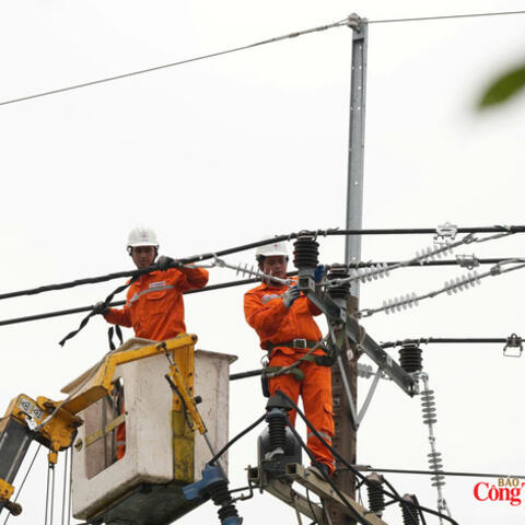 Ngành điện TP. Hồ Chí Minh bảo đảm cấp điện dịp lễ Quốc khánh 2/9