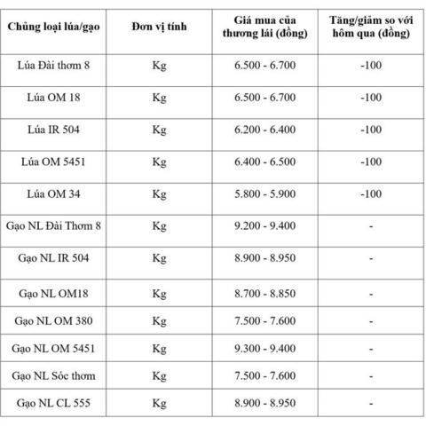 Giá lúa gạo hôm nay ngày 3/9/2026: Lúa tươi đồng loạt giảm