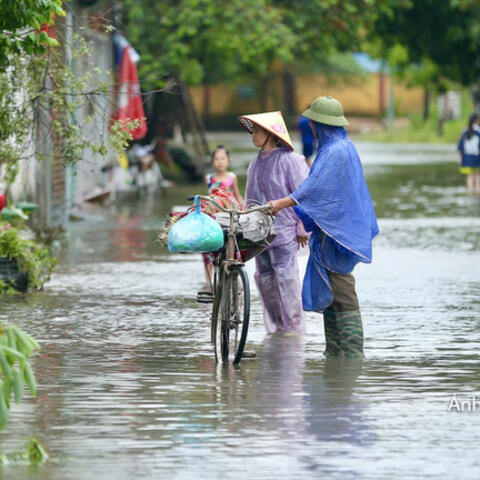 Thanh Hóa: 12 xã nguy cơ sạt lở cao, phát lệnh báo động II sông Yên