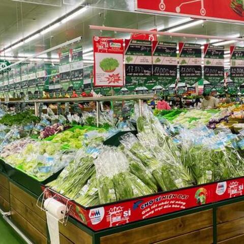 Doanh nghiệp bán lẻ vào cuộc bình ổn giá rau xanh