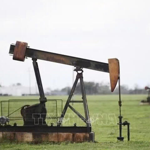 Giá dầu biến động, thị trường LNG và nhiên liệu tinh chế chịu sức ép