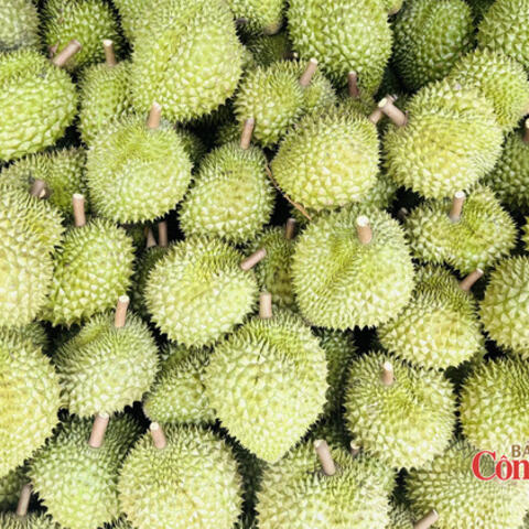 Xuất khẩu nông, lâm, thủy sản: Đà tăng từ rau quả, thủy sản