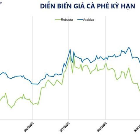 Giá cà phê tăng phiên thứ 3 liên tiếp lên 6.449 USD/tấn
