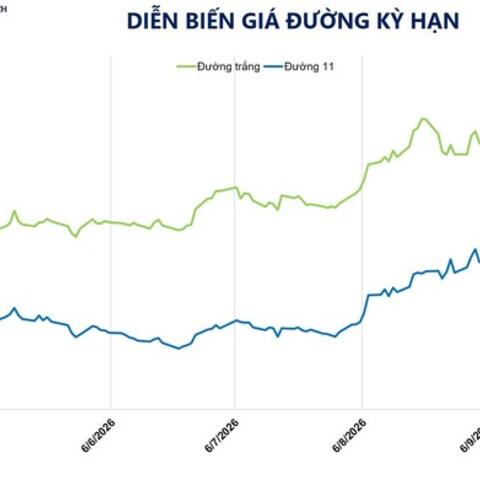 Giá đường tăng phiên thứ tư liên tiếp, lập đỉnh 19 tháng