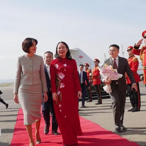 Phó Chủ tịch nước Võ Thị Ánh Xuân hội đàm với Thủ tướng Gruzia