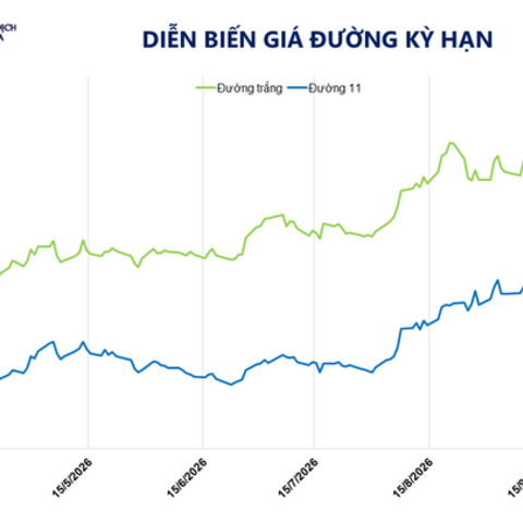Giá đường tăng lên đỉnh một năm ở mức 561,1 USD/tấn