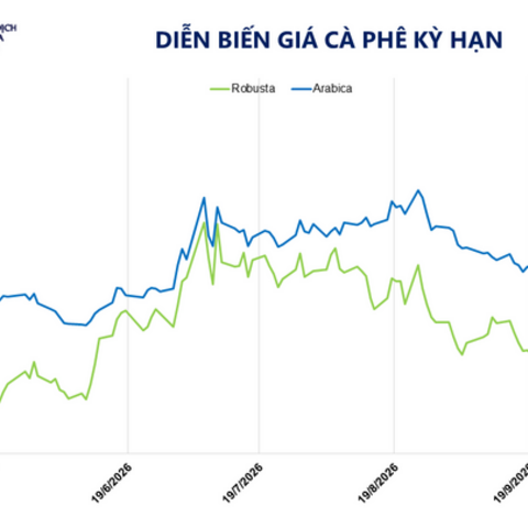 Giá cà phê tăng mạnh phiên thứ hai liên tiếp, đạt mốc 6.960 USD/tấn