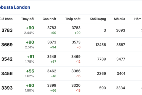 Giá cà phê hôm nay 20/3/2026: Tăng nhẹ 500 đồng/kg