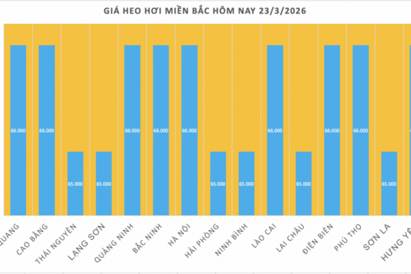 Giá heo hơi hôm nay 23/3/2026: Biến động trái chiều