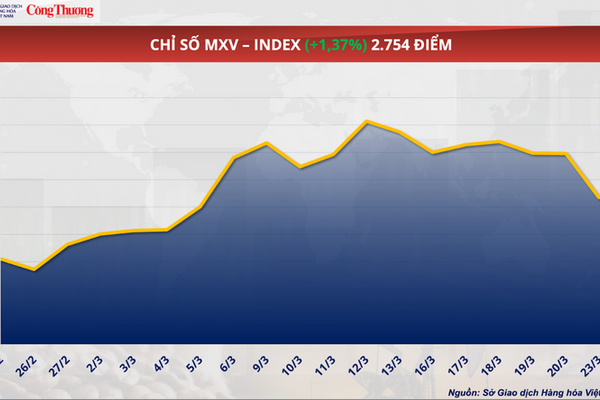 Giá cà phê Arabica vượt 7.000 USD/tấn, áp lực nguồn cung chưa hạ nhiệt