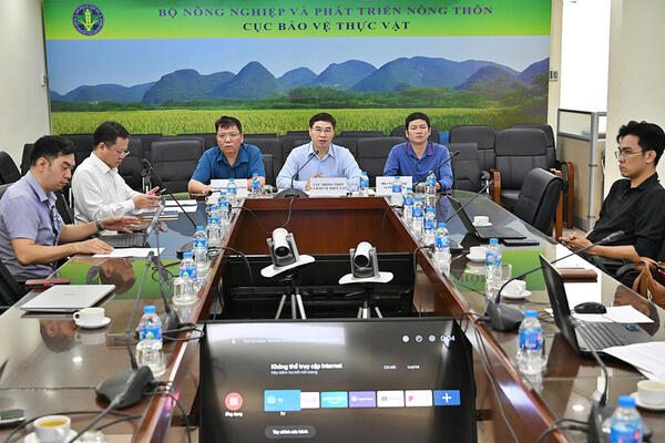 Nông sản Việt trước sức ép mới từ thị trường EU