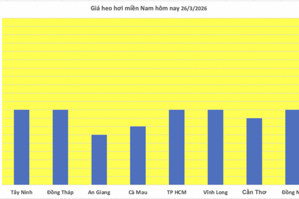 Giá heo hơi hôm nay 26/3: Đi ngang, cao nhất đạt 69.000 đồng/kg