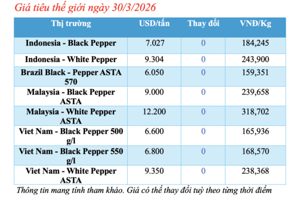 Giá tiêu hôm nay 30/3/2026: Cao nhất đạt 140.500 đồng/kg
